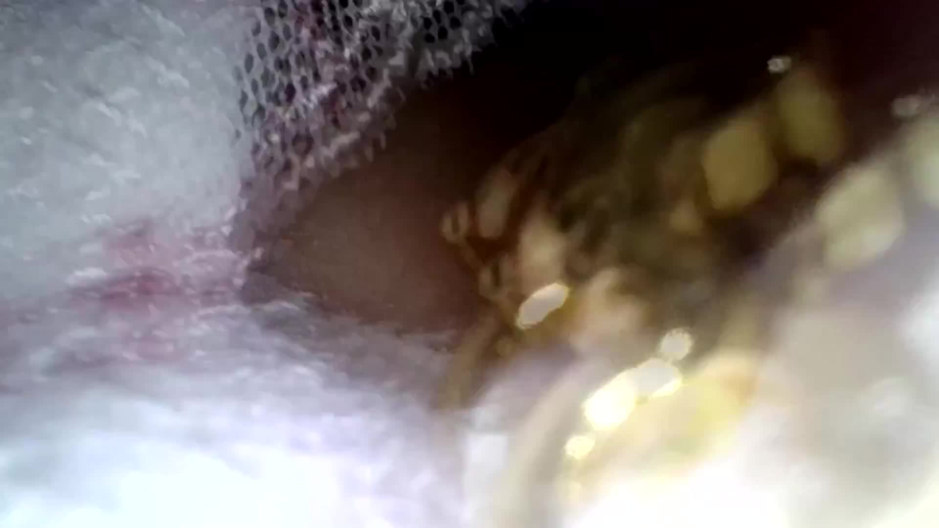 完全穿著内衣角度！使用靈活移動的光纖鏡頭刺激敏感乳頭，即使害羞也會感到興奮的貧乳美少女2 白皙美乳頭的海軍制服少女 白姬佳奈 - AV大平台 - 中文字幕，成人影片，AV，國產，線上看