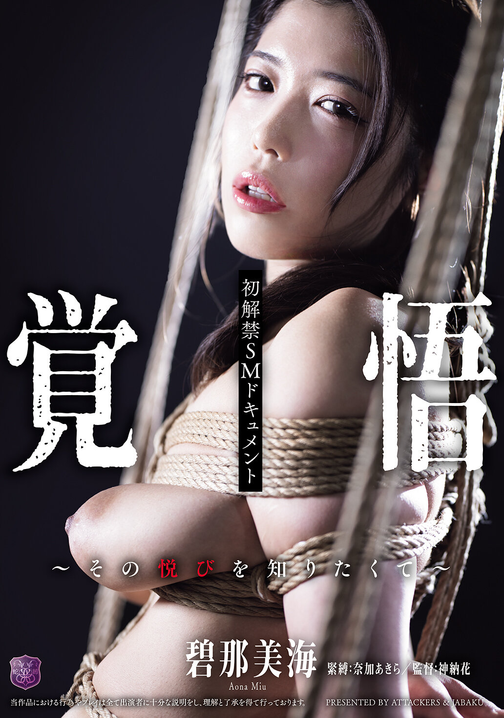 JBD-307初解禁SM紀錄片 做好準備～渴望體驗那份樂趣～ 碧那美海 - AV大平台 - 中文字幕，成人影片，AV，國產，線上看